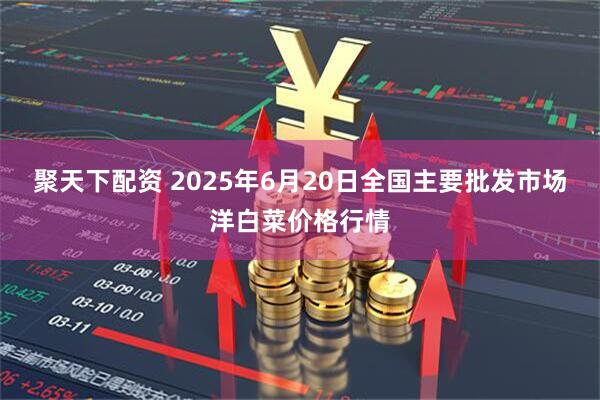 聚天下配资 2025年6月20日全国主要批发市场洋白菜价格行情