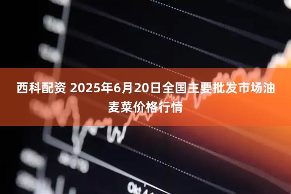 西科配资 2025年6月20日全国主要批发市场油麦菜价格行情