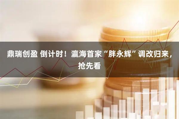 鼎瑞创盈 倒计时！瀛海首家“胖永辉”调改归来，抢先看