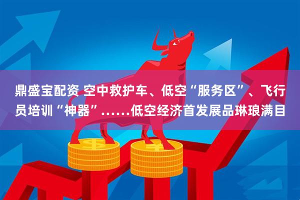 鼎盛宝配资 空中救护车、低空“服务区”、飞行员培训“神器”……低空经济首发展品琳琅满目