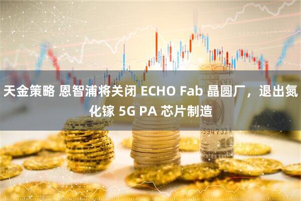 天金策略 恩智浦将关闭 ECHO Fab 晶圆厂,退出氮化镓 5G PA 芯片制造