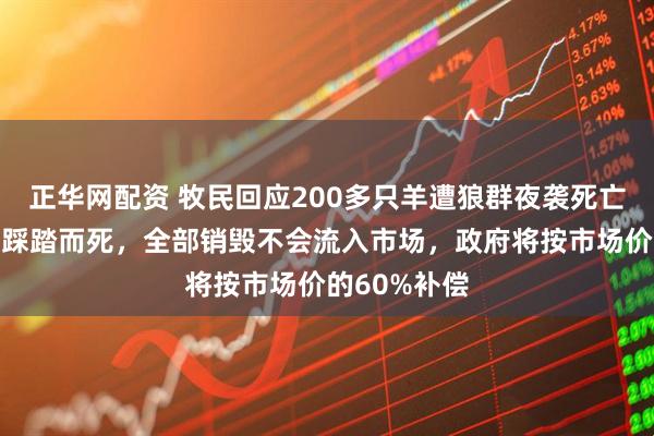 正华网配资 牧民回应200多只羊遭狼群夜袭死亡：大部分因踩踏而死，全部销毁不会流入市场，政府将按市场价的60%补偿